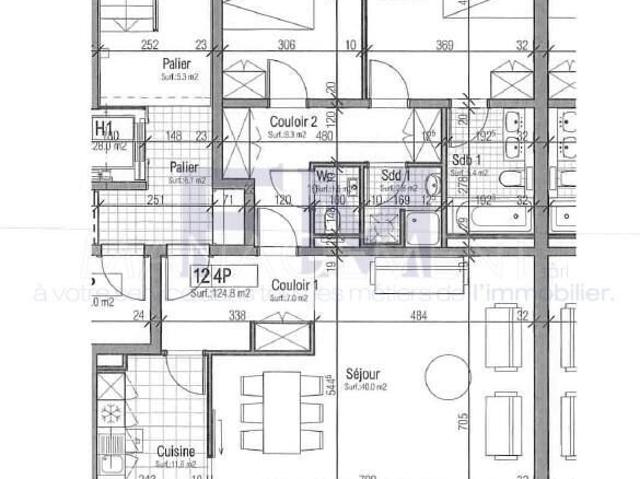 Malagnou, 4 rooms, on the 1st floor with loggia, of approx 107m2