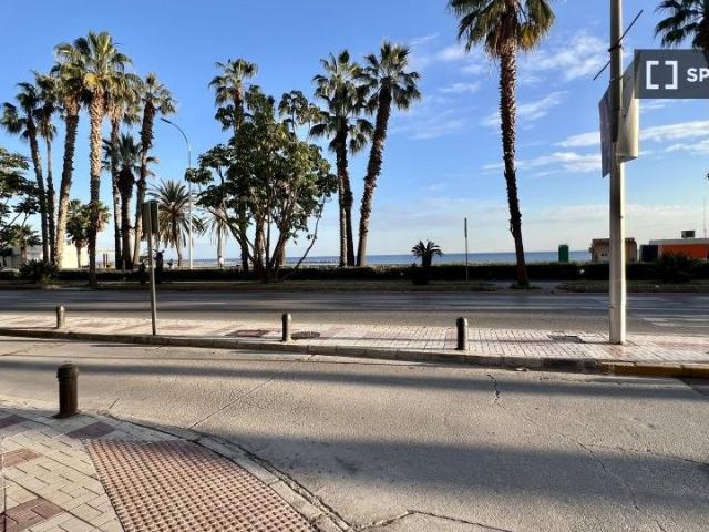 malaga, Andalusia 29016