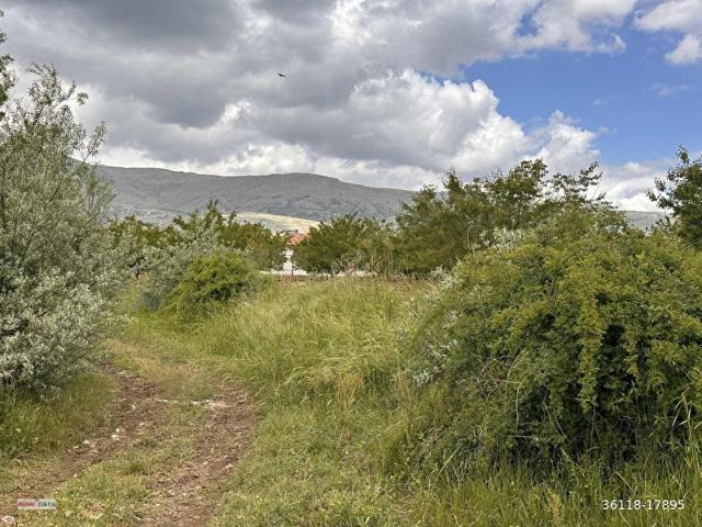 Malatya Akçadağ Ören Satılık Tarla