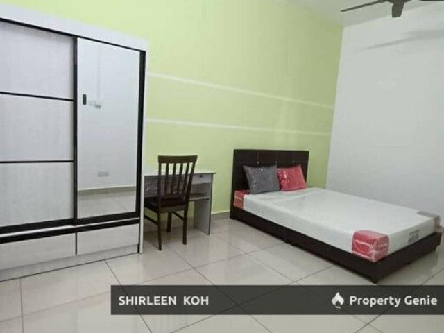 Male Room Renting at Suriamas Suites Condominium @ Larkin JB Town