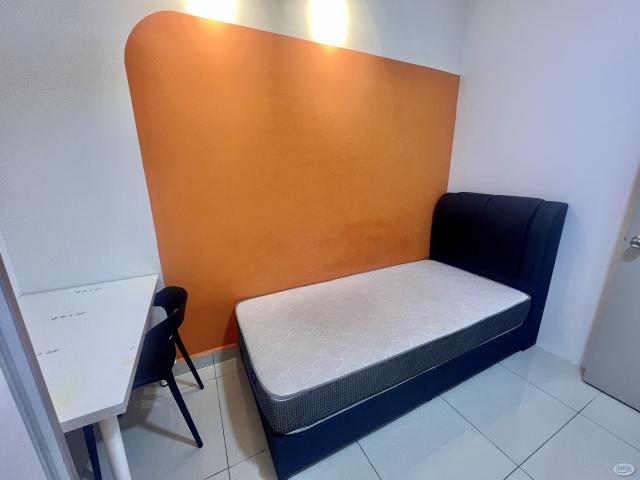 MALE UNIT BRAND NEW FURNISHED MEDIUM SINGLE ROOM for Rent @ Residence Suasana @ Damai
