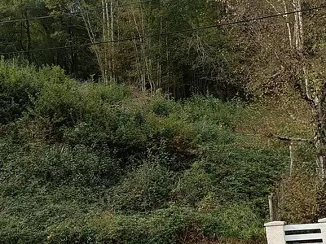 Malemort 19360 Achat / Vente terrain
