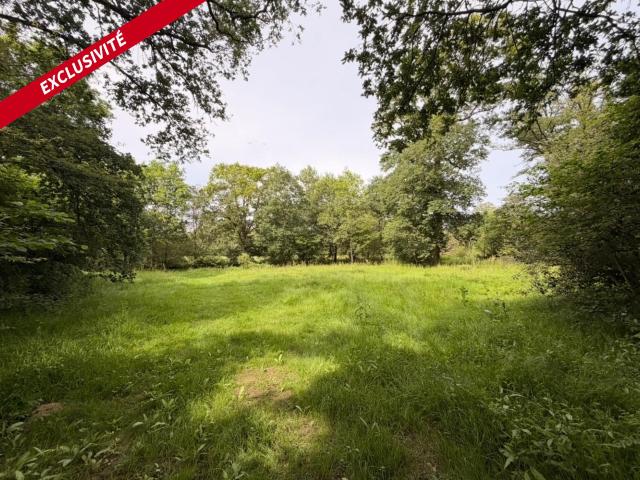 Malestroit Vente Terrain 56