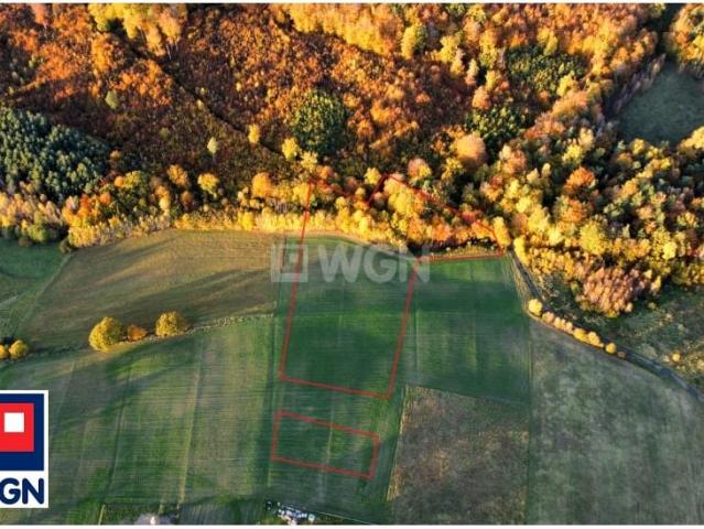 Malinowa 3 767 m², Gościcino