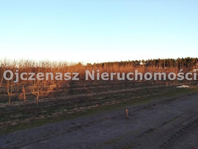 Malownicza działka 1061 m² w Szczutkach – idealna pod dom