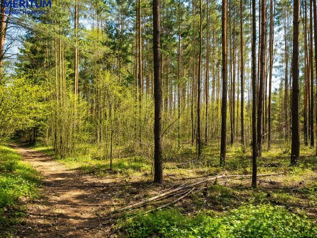 Malownicza działka 1500 m2 pod dom lub inwestycję