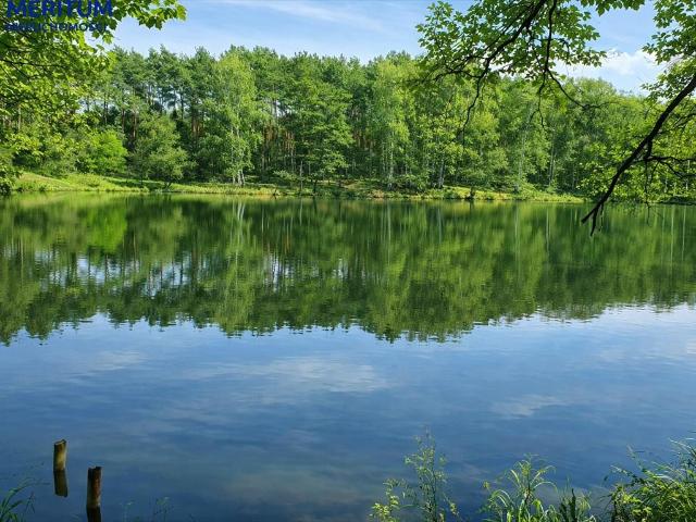 Malownicza działka 2000 m2 z lasem i potencjałem inwestycyjnym