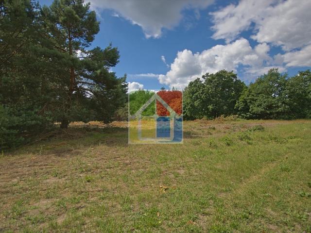 Malownicza działka 29 400 m² z lasem i planem zagospodarowania
