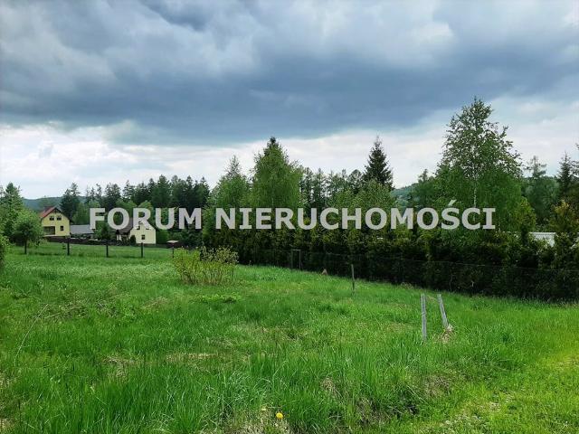 Malownicza działka 36 arów z domkiem i projektem