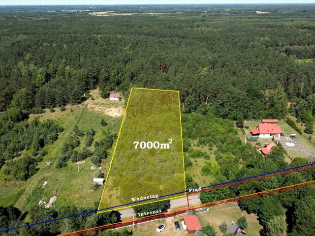 Malownicza działka 7 000 m² z dostępem do mediów
