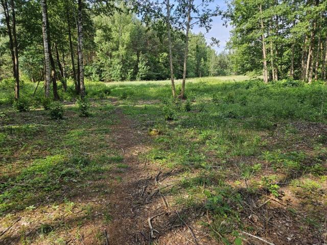 Malownicza działka rekreacyjna 981 m² w Piasutnie