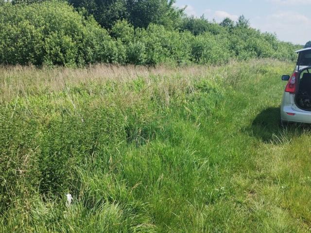 Malownicze działki nad stawem Borowiec w Gołębiu