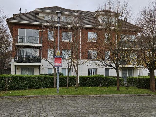 Maple, Grattan Wood, Donaghmede