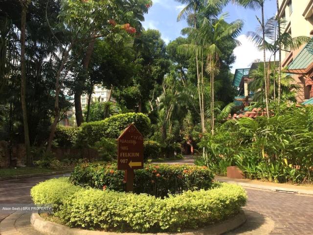Maplewoods D21, Condominium