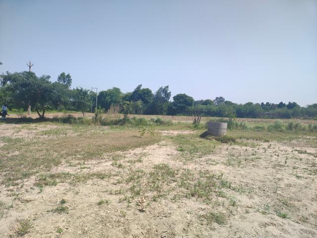Mapple Citybehrorplotnh48 100 Sq.Yd. Plot in Nh 8 Neemrana Listing ID: #10189