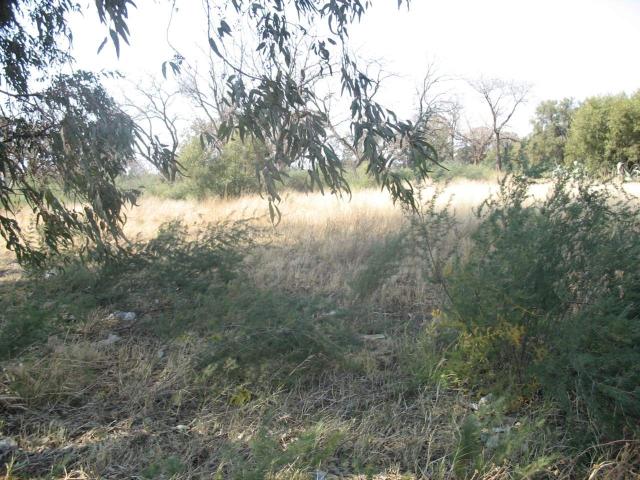 MARTINDAL SMALL HOLDINGS – 5.1483 HA OF PRIME FLAT LAND