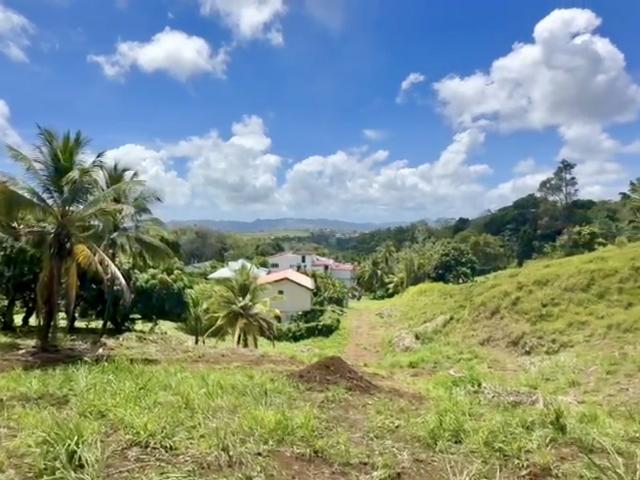 Martinique Vente Terrain 97