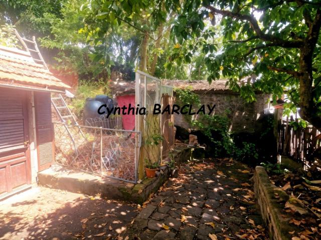 Martinique Vente Terrain 97