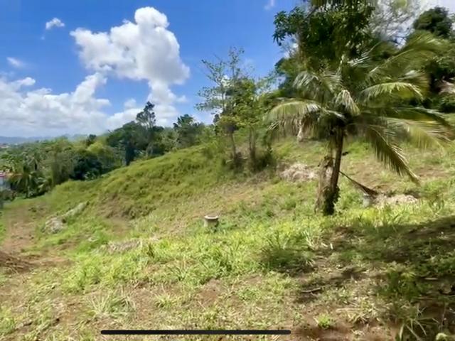 Martinique Vente Terrain 97