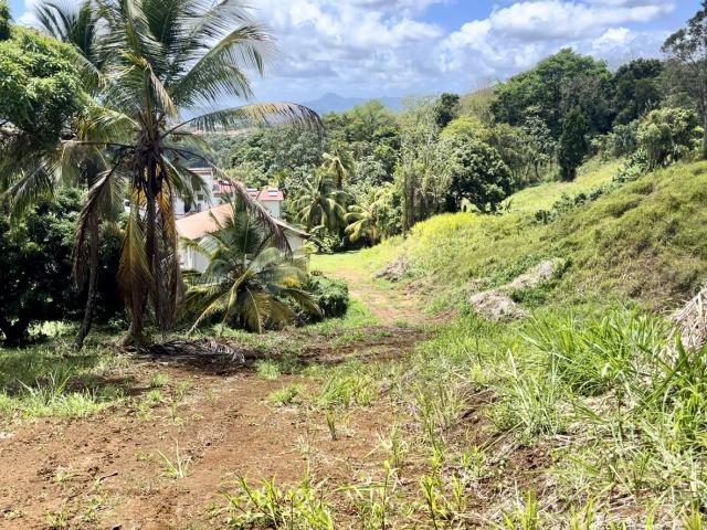 Martinique Vente Terrain 97