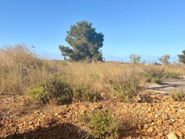 Martigues Vente Terrain 13
