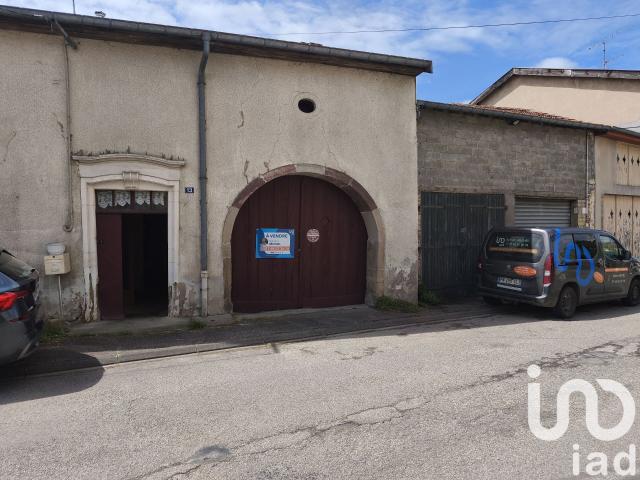Martigny les Bains Vente Maison 88