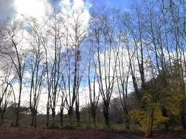 Martillac 33650 Achat / Vente terrain