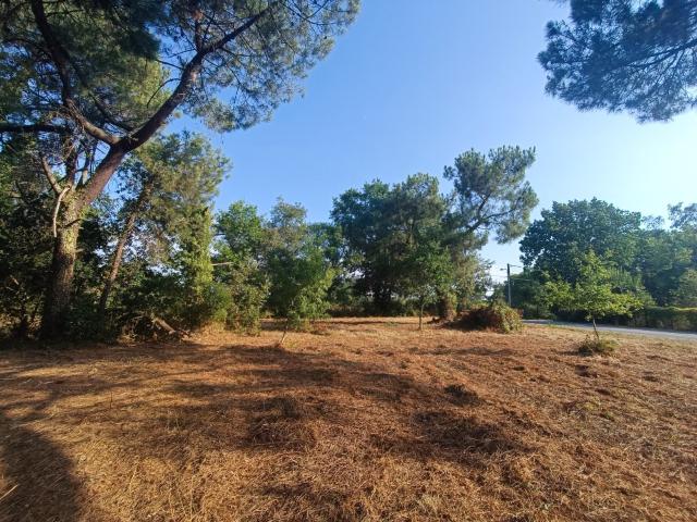 Martillac Vente Terrain 33