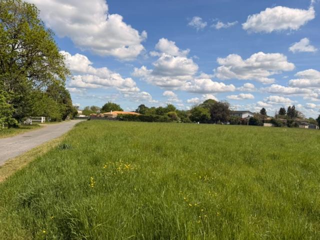 Martillac Vente Terrain 33
