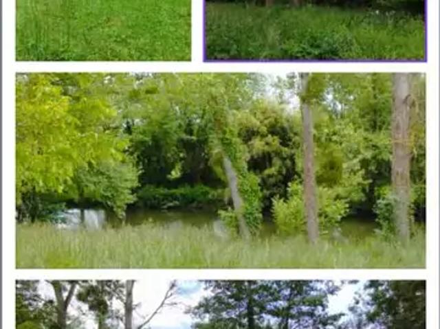 Martizay 36220 Achat / Vente terrain