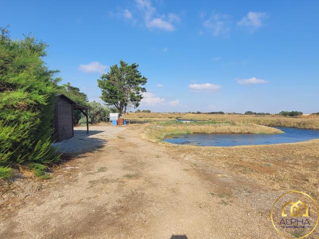 MARAIS A POISSONS TERRAIN DE LOISIRS