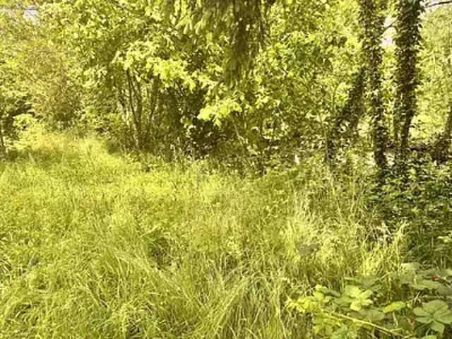 Marandeuil 21270 Achat / Vente terrain