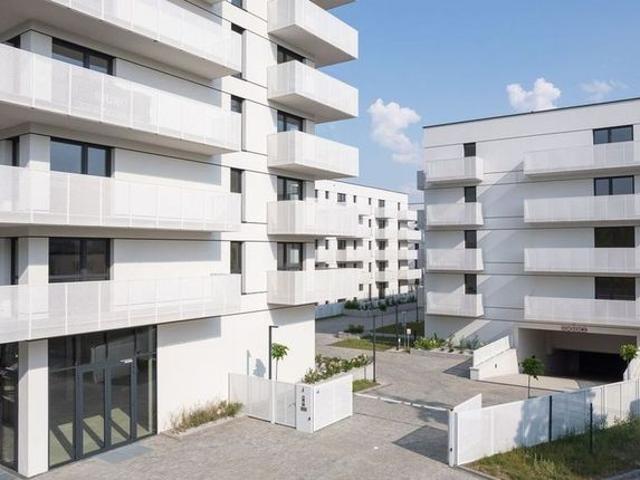 Maratońska 49 Nowa Retkinia