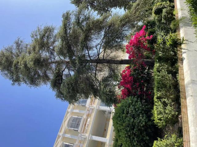 Marbella
