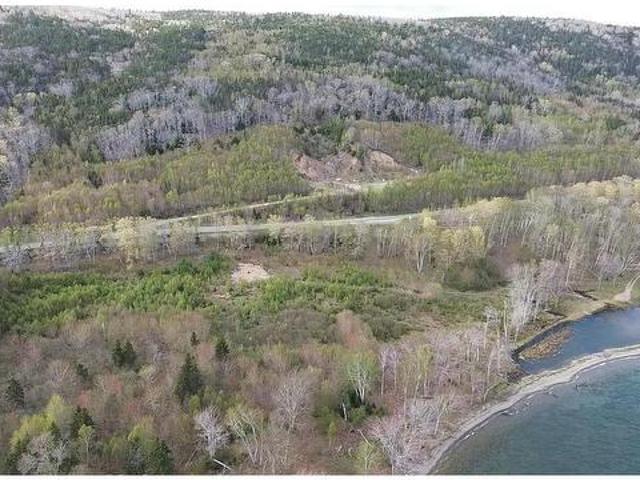 Marble Mountain Road, Lime Hill, NS, B0E 3K0 vacant land for sale | Listing ID 202604 | Royal LePage