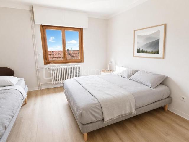 Marckolsheim Vente Immeuble 67