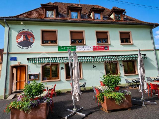 Marckolsheim Vente Immeuble 67