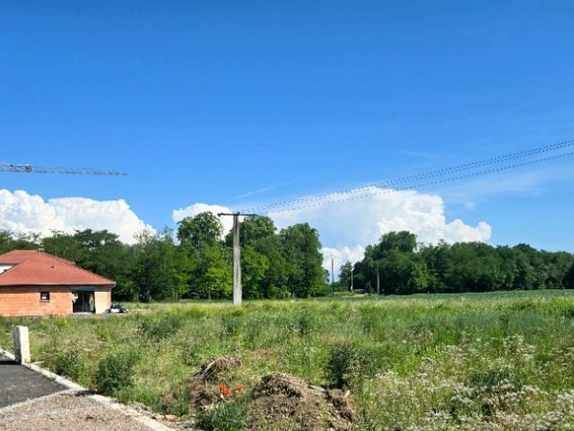 Marckolsheim Vente Terrain 67