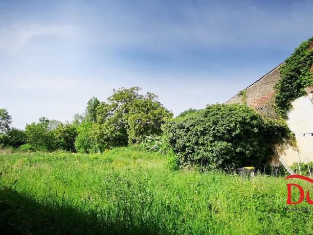 Marchiennes Vente Maison 59