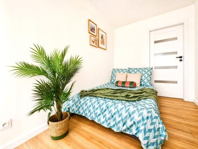 Marcina Radockiego 37 m², Katowice