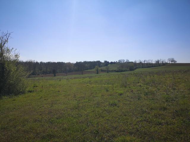 Marciac Vente Terrain 32
