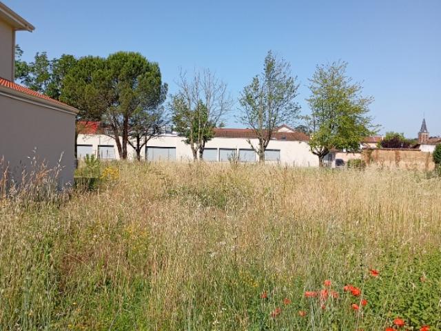 Marcilloles Vente Terrain 38