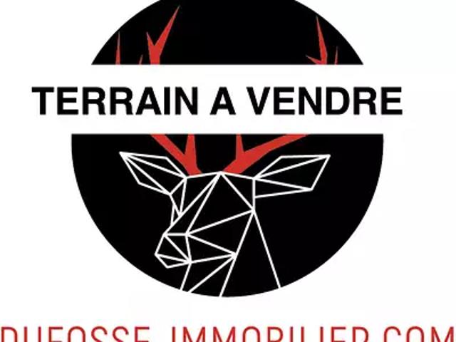 Marcilly d'Azergues 69380 Achat / Vente terrain