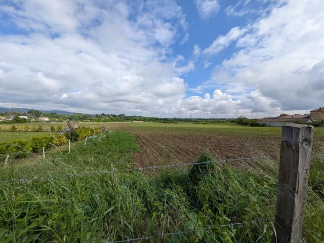 Marcilly d'Azergues Vente Terrain 69