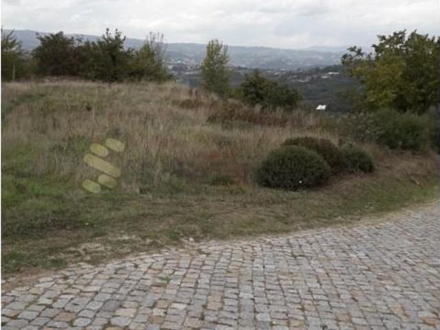Marco de Canaveses Marco de Canaveses 103633255