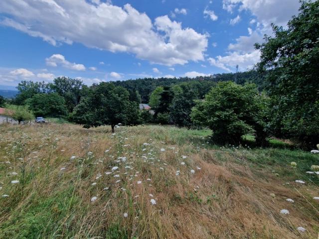 Marcoux Vente Terrain 42