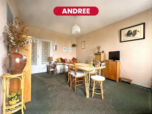 Marcq en Barul Vente Appartement 59