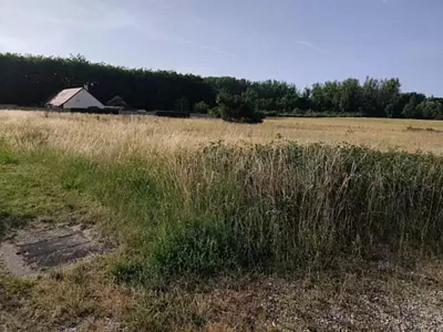 Mareuil sur Cher 41110 Achat / Vente terrain