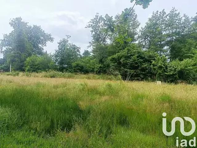 Margaux Cantenac 33460 Achat / Vente terrain