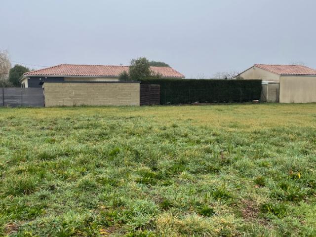 Margaux Vente Terrain 33